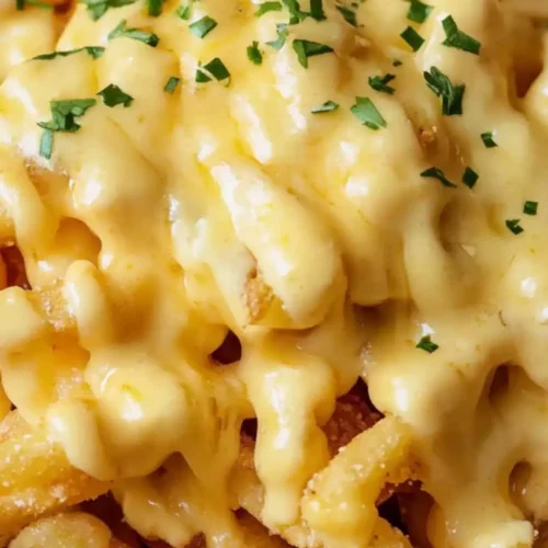 shake shack cheese fries