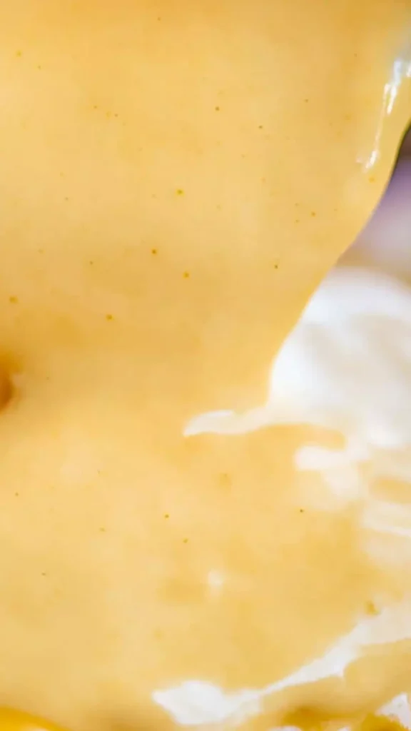 Shake Shack Cheese Sauce Copycat Recipe Shake Shack Cheese Sauce Copycat Recipe