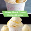 shake shack frozen custard recipe