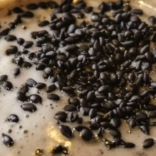 Shake Shack Black Sesame Shake