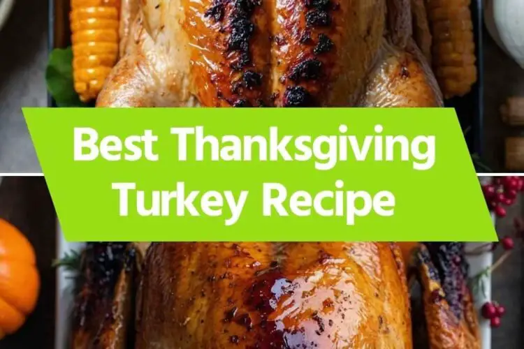 Best Thanksgiving Turkey Recipe