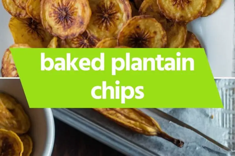 Baked Plantain Chips